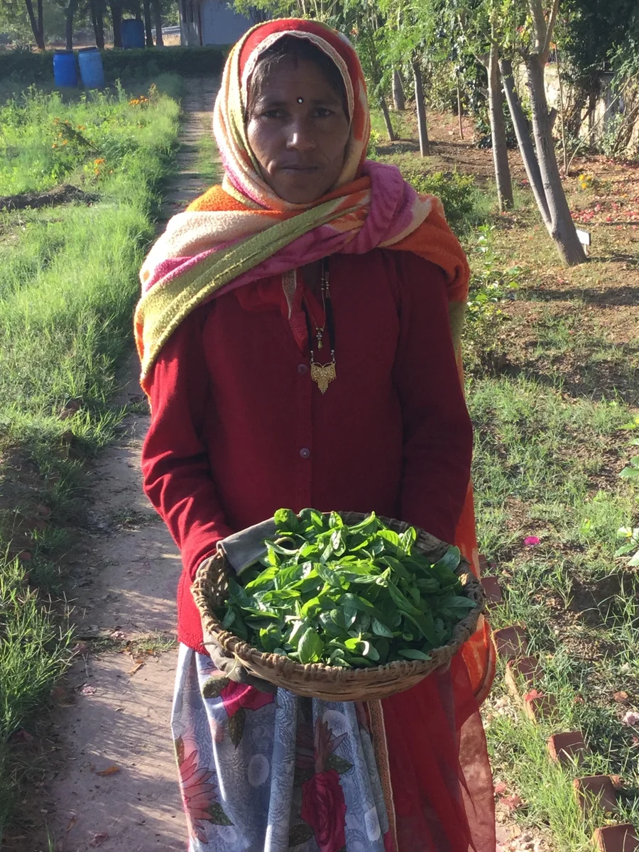 Dhapubai with the daily salad herbs 1200